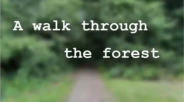 A walk through the forest